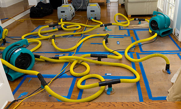 Professional Water Extraction technician working in Caledonia, MO